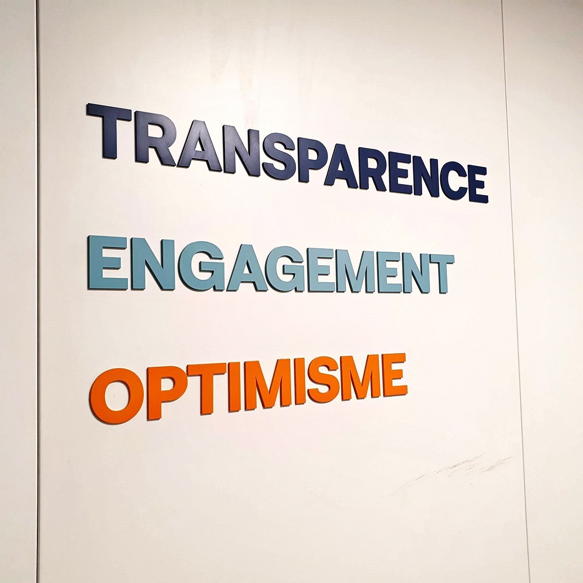 Branding - image 11
